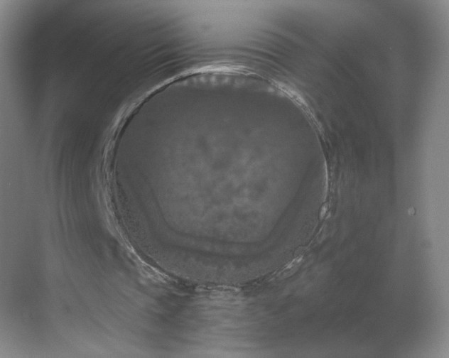 X0000069810337200605221210