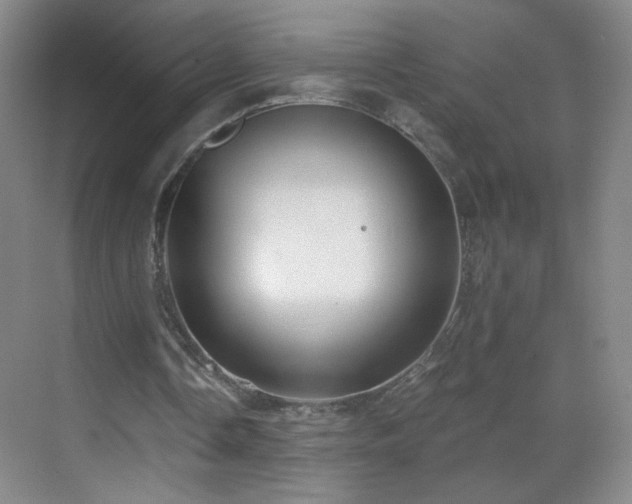 X0000069810338200605221210