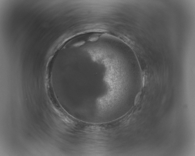 X0000069810339200605221210