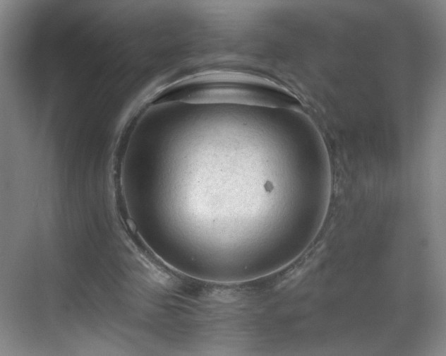 X0000069810341200605221210