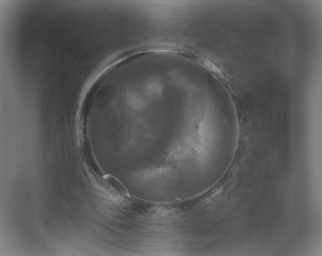 X0000069810343200605221210