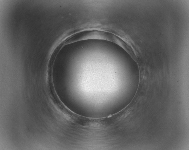 X0000069810344200605221210