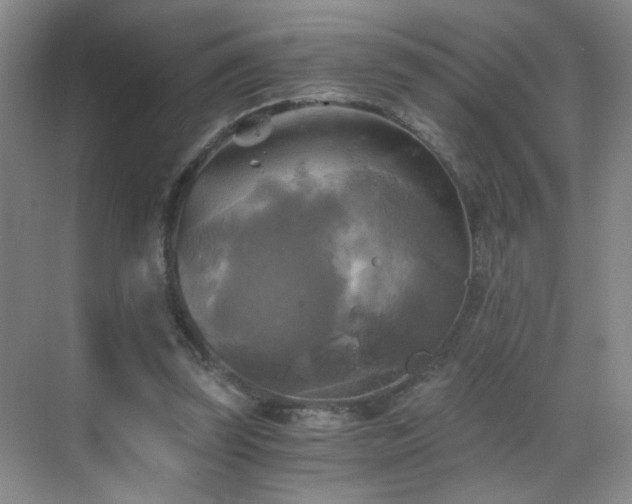 X0000069810347200605221210