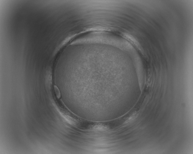 X0000069810348200605221210