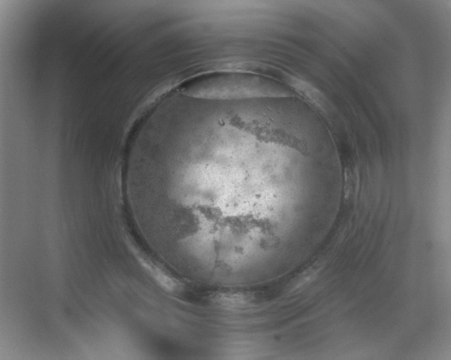 X0000069810349200605221210