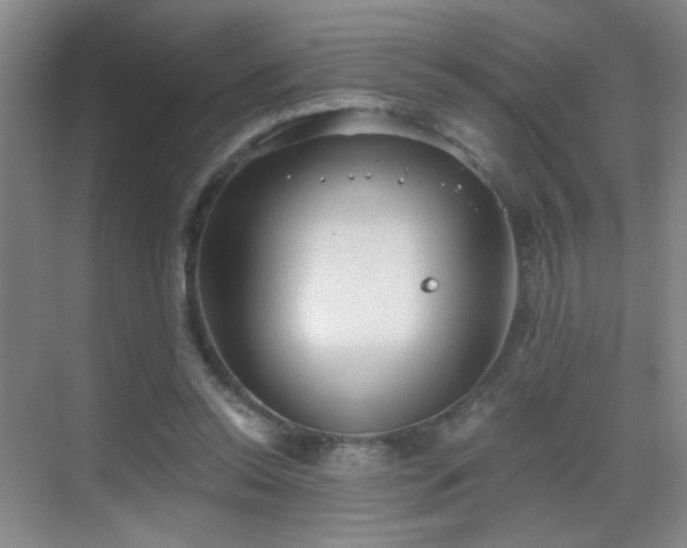 X0000069810350200605221210