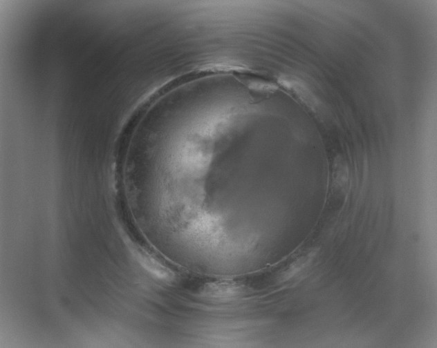 X0000069810351200605221210