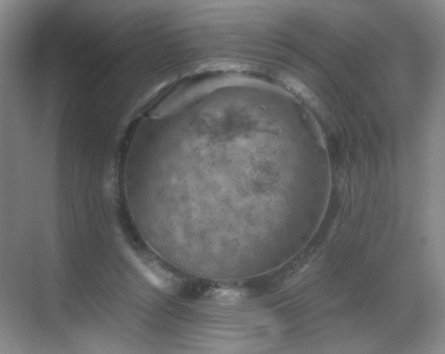 X0000069810352200605221210