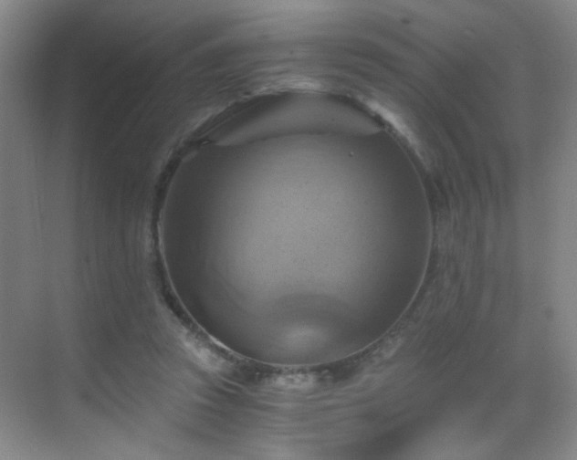 X0000069810353200605221210