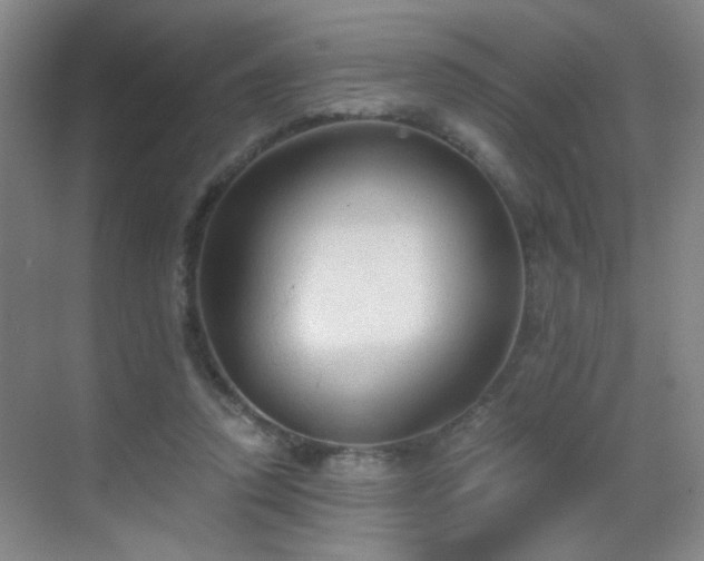 X0000069810354200605221210