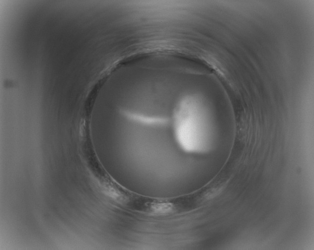 X0000069810355200605221210