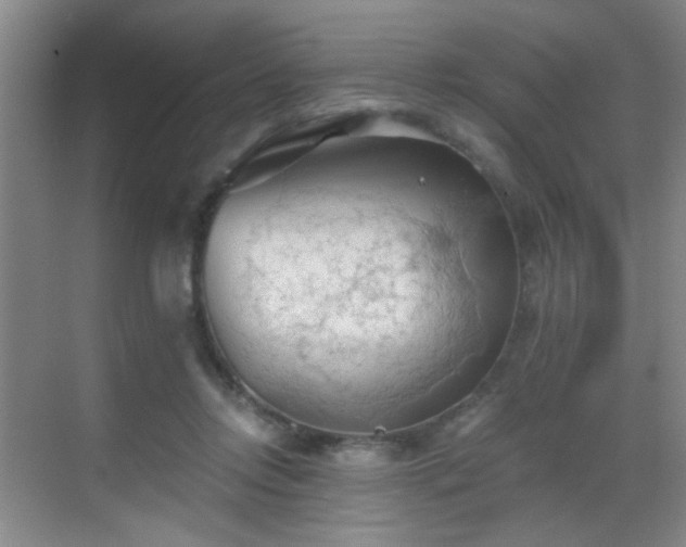 X0000069810358200605221210