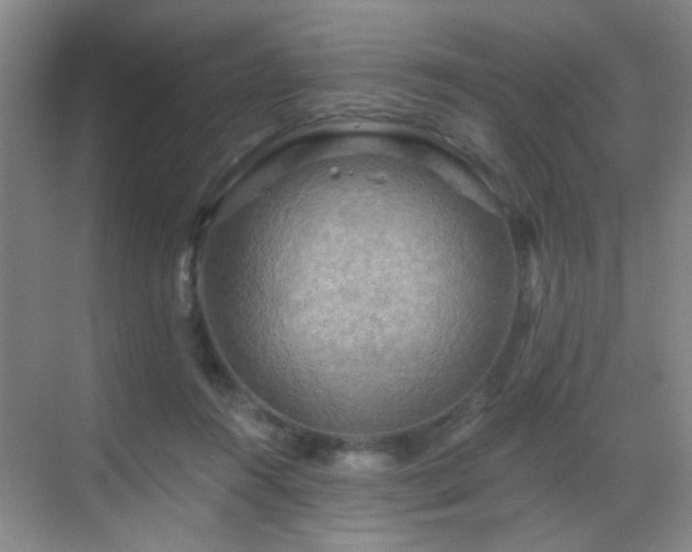 X0000069810360200605221210