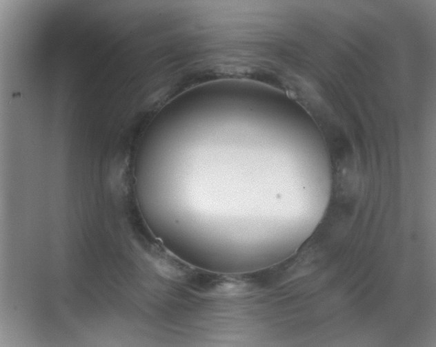 X0000069810364200605221210