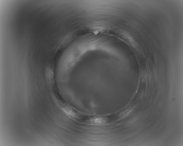 X0000069810365200605221210