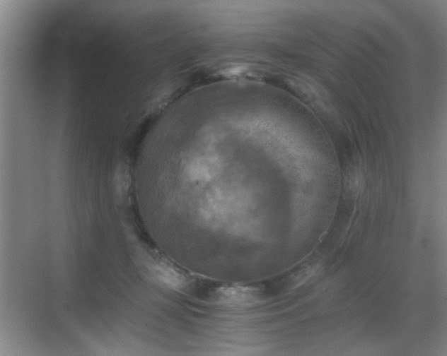 X0000069810367200605221210