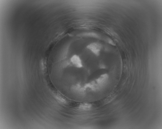 X0000069810369200605221210