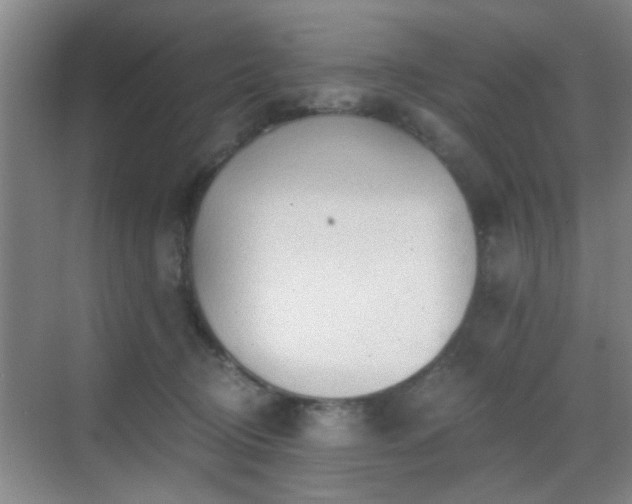 X0000069810370200605221210