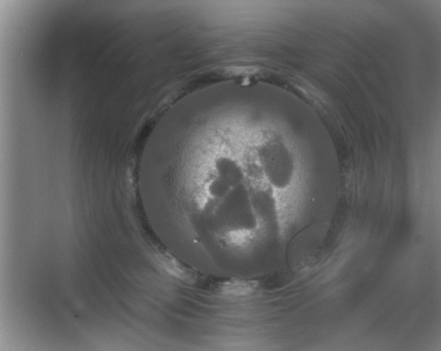 X0000069810373200605221210