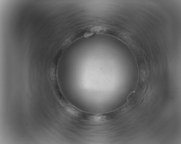 X0000069810375200605221210