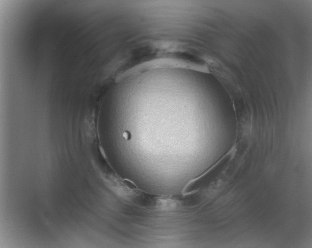 X0000069810376200605221210