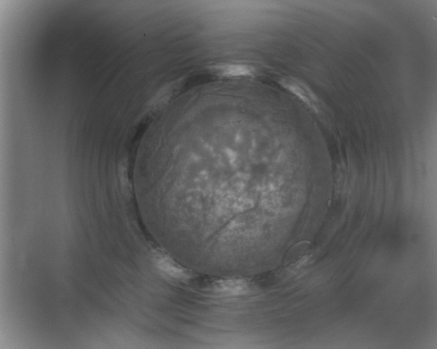 X0000069810377200605221210