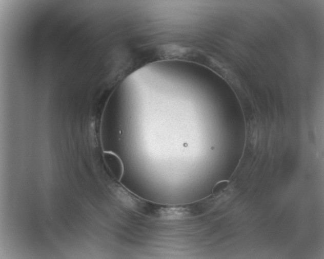 X0000069810378200605221210