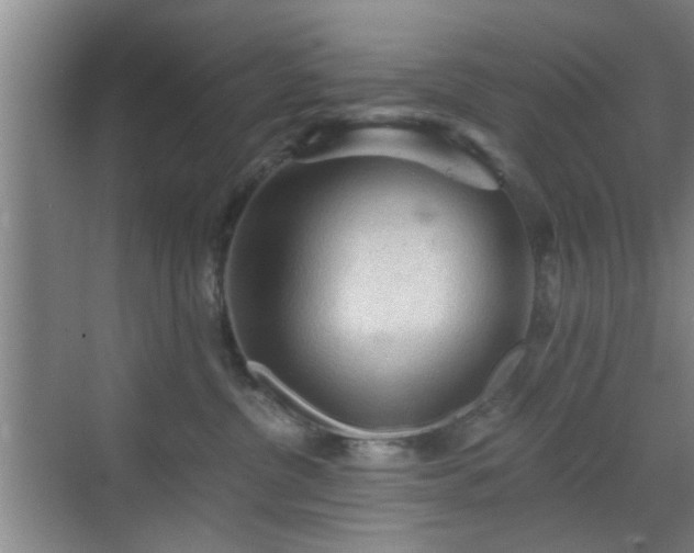 X0000069810380200605221210