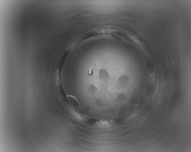 X0000069810381200605221210