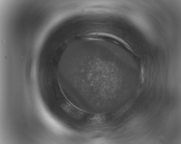 X0000069810383200605221210