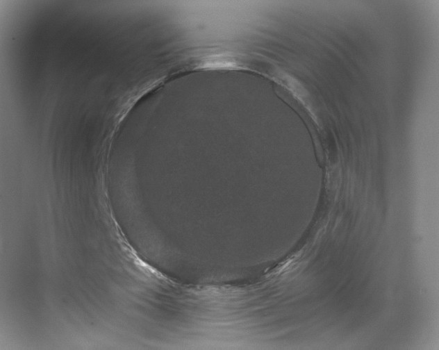 X0000069810385200605221210