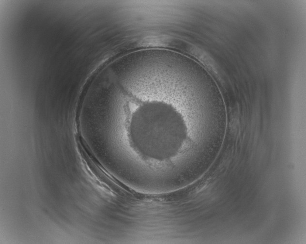 X0000069810386200605221210