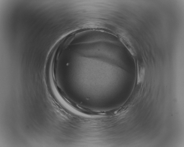 X0000069810387200605221210