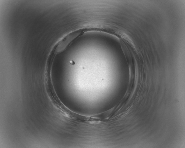 X0000069810388200605221210