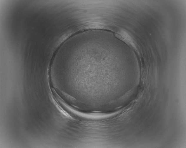 X0000069810389200605221210