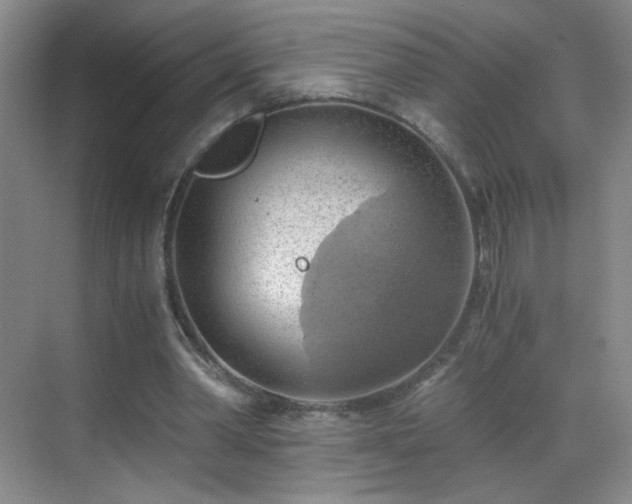 X0000069810390200605221210