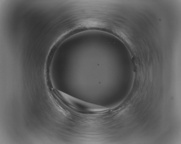 X0000069810391200605221210