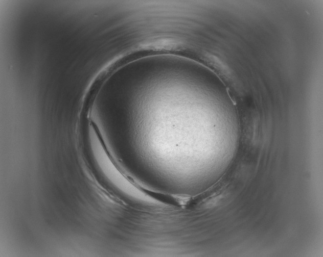 X0000069810392200605221210