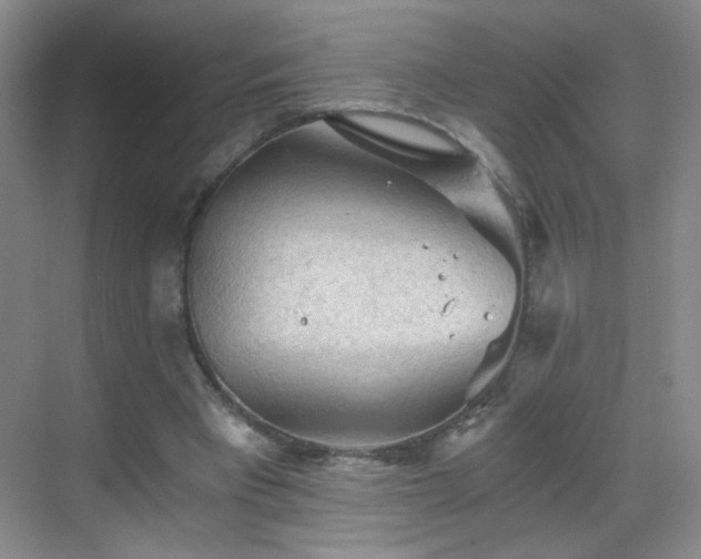 X0000069810393200605221210