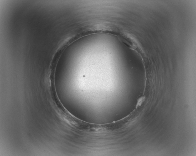 X0000069810395200605221209