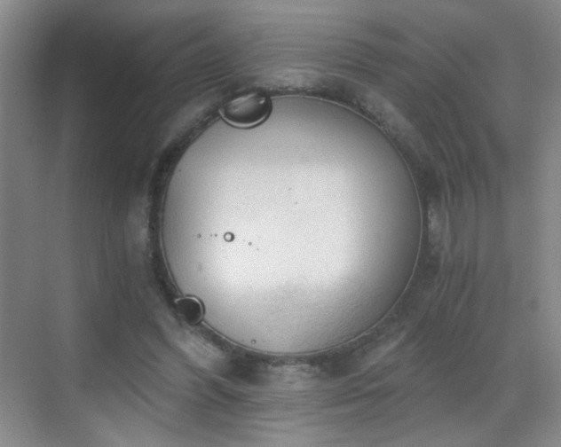 X0000069810396200605221209