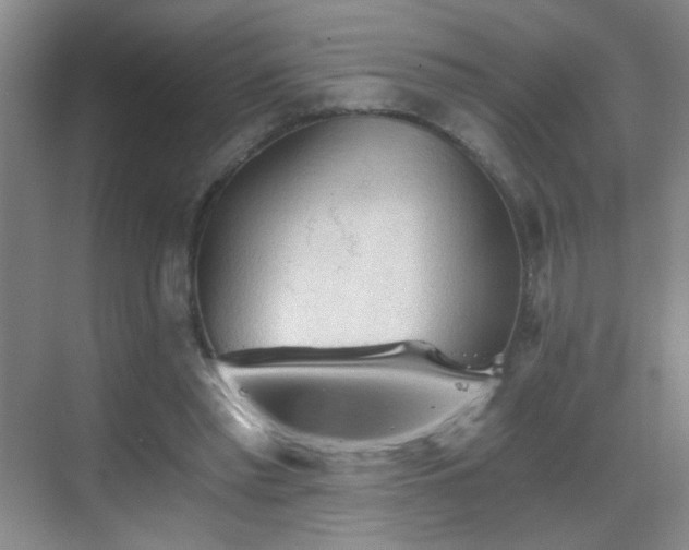 X0000069810397200605221209