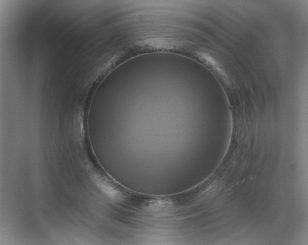 X0000069810398200605221209