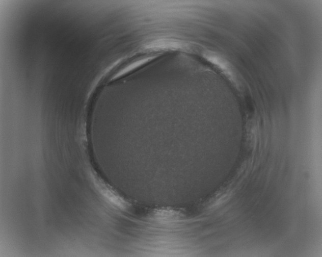 X0000069810399200605221209