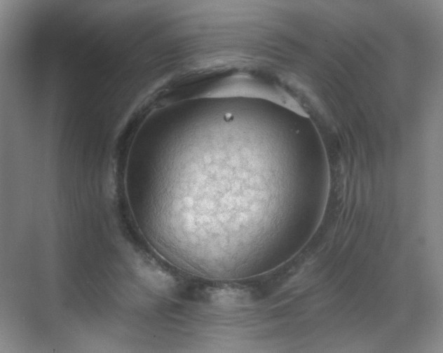 X0000069810400200605221209