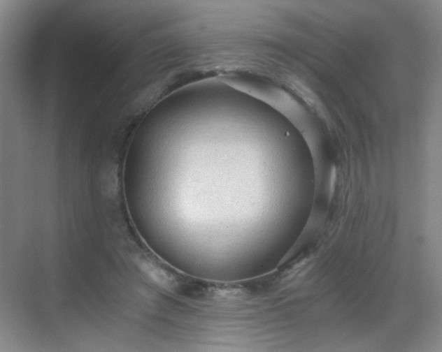 X0000069810401200605221209