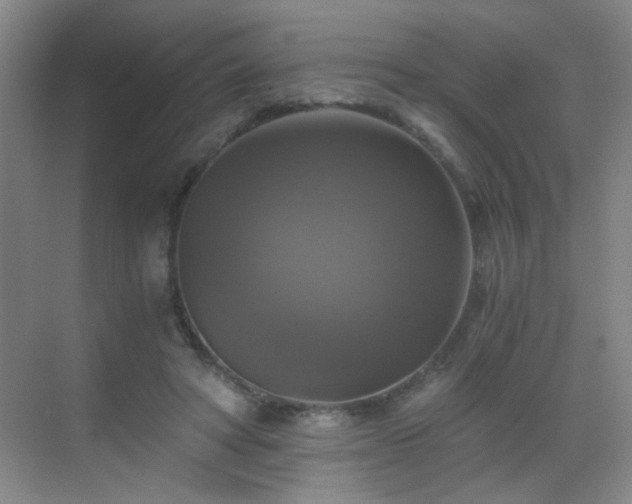 X0000069810402200605221209