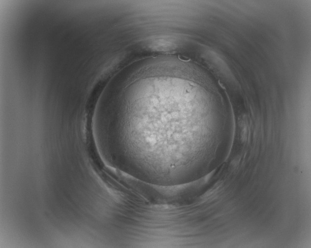 X0000069810404200605221209