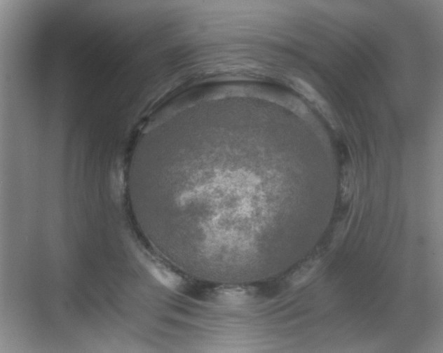 X0000069810405200605221209