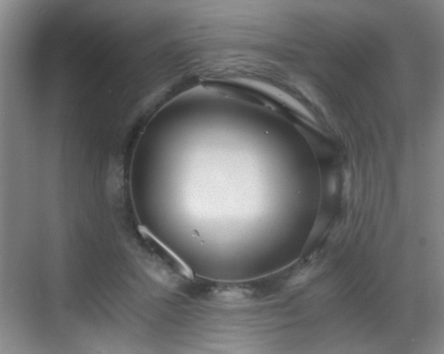 X0000069810407200605221209